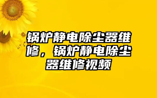 鍋爐靜電除塵器維修，鍋爐靜電除塵器維修視頻