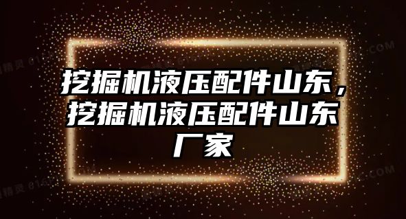 挖掘機液壓配件山東，挖掘機液壓配件山東廠家