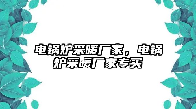 電鍋爐采暖廠家，電鍋爐采暖廠家專買