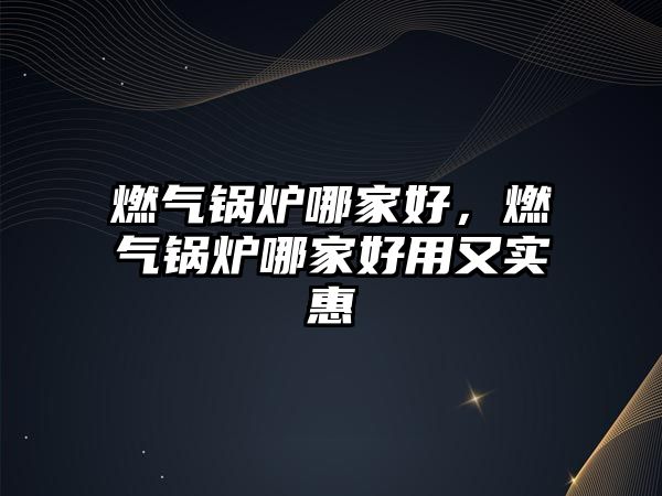 燃?xì)忮仩t哪家好，燃?xì)忮仩t哪家好用又實(shí)惠