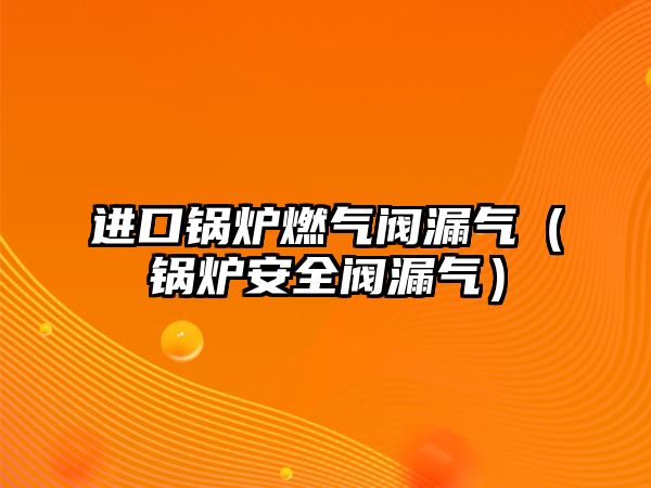 進口鍋爐燃?xì)忾y漏氣（鍋爐安全閥漏氣）