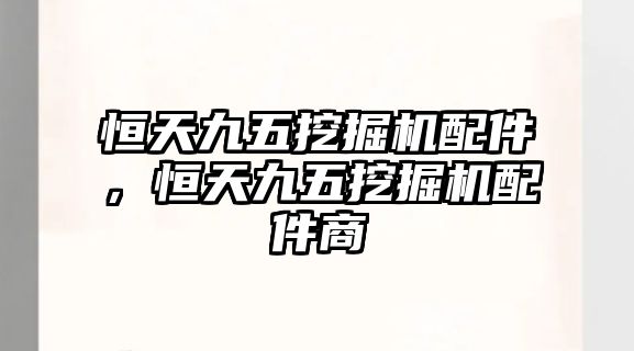 恒天九五挖掘機(jī)配件，恒天九五挖掘機(jī)配件商