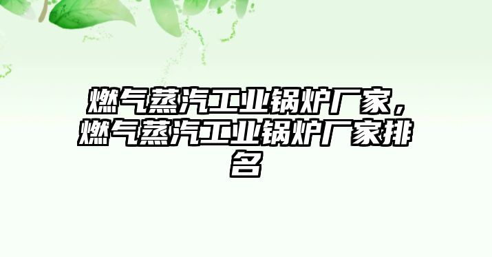 燃氣蒸汽工業(yè)鍋爐廠家，燃氣蒸汽工業(yè)鍋爐廠家排名