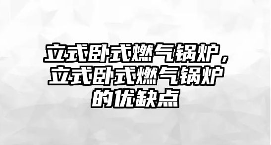 立式臥式燃?xì)忮仩t，立式臥式燃?xì)忮仩t的優(yōu)缺點(diǎn)