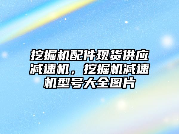 挖掘機配件現(xiàn)貨供應(yīng)減速機，挖掘機減速機型號大全圖片