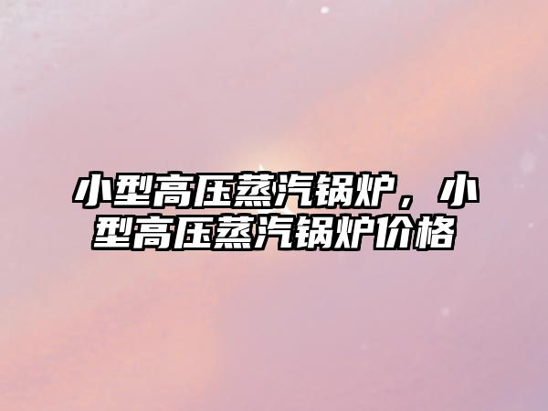 小型高壓蒸汽鍋爐，小型高壓蒸汽鍋爐價格