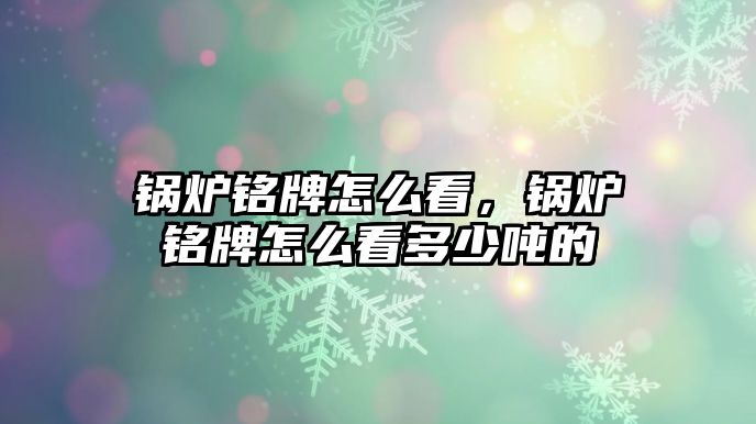 鍋爐銘牌怎么看，鍋爐銘牌怎么看多少噸的