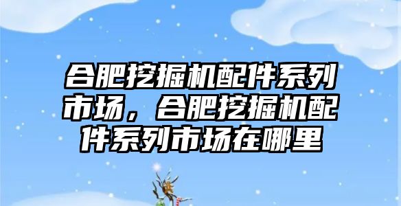 合肥挖掘機配件系列市場，合肥挖掘機配件系列市場在哪里