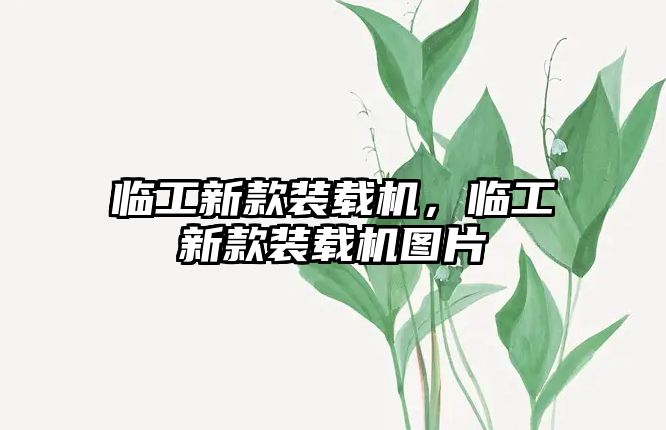 臨工新款裝載機(jī)，臨工新款裝載機(jī)圖片