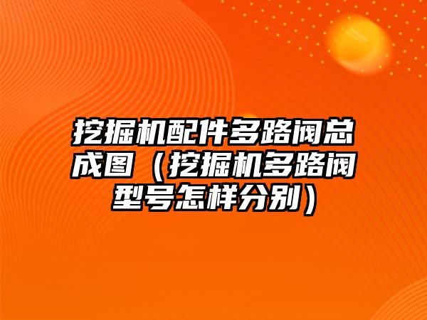 挖掘機配件多路閥總成圖（挖掘機多路閥型號怎樣分別）