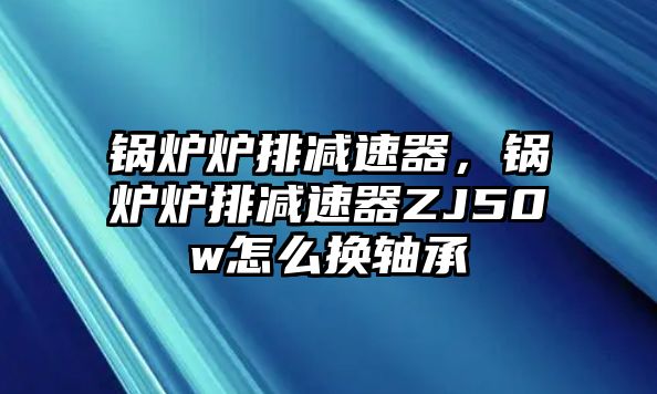 鍋爐爐排減速器，鍋爐爐排減速器ZJ50w怎么換軸承