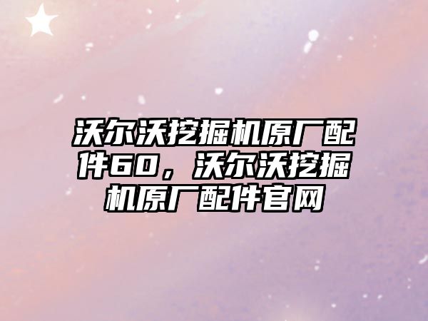 沃爾沃挖掘機原廠配件60，沃爾沃挖掘機原廠配件官網(wǎng)