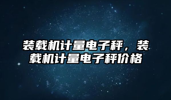 裝載機計量電子秤，裝載機計量電子秤價格