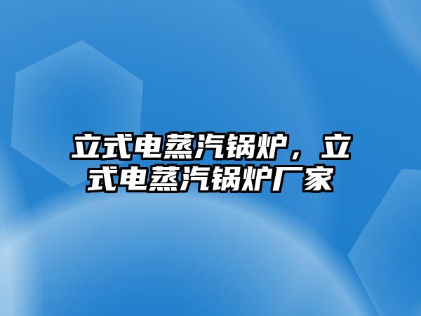 立式電蒸汽鍋爐，立式電蒸汽鍋爐廠家