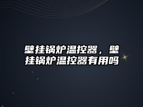 壁掛鍋爐溫控器，壁掛鍋爐溫控器有用嗎