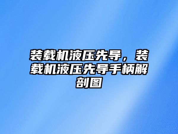 裝載機液壓先導，裝載機液壓先導手柄解剖圖