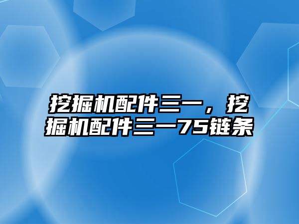 挖掘機配件三一，挖掘機配件三一75鏈條