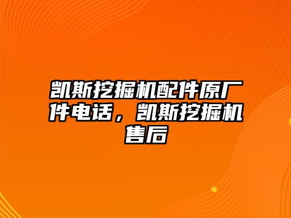 凱斯挖掘機(jī)配件原廠件電話，凱斯挖掘機(jī)售后