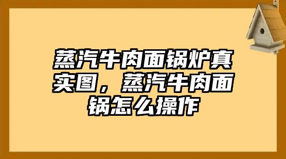 蒸汽牛肉面鍋爐真實圖，蒸汽牛肉面鍋怎么操作