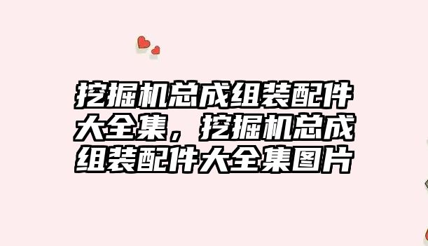 挖掘機總成組裝配件大全集，挖掘機總成組裝配件大全集圖片