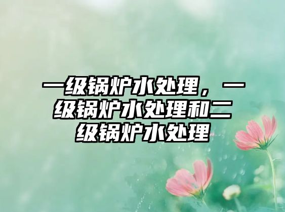 一級鍋爐水處理，一級鍋爐水處理和二級鍋爐水處理