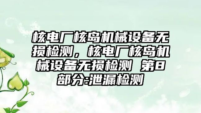 核電廠核島機械設(shè)備無損檢測，核電廠核島機械設(shè)備無損檢測 第8部分:泄漏檢測