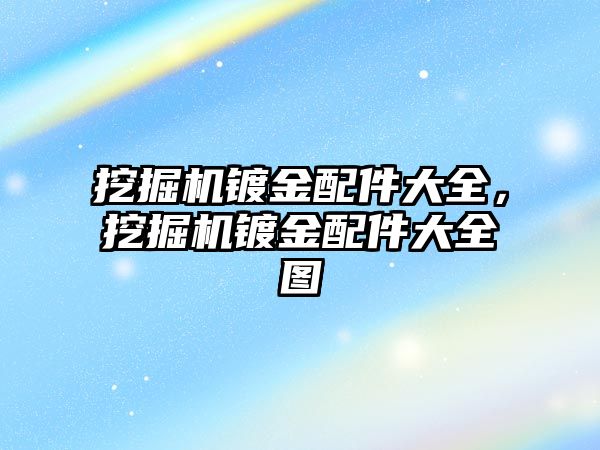 挖掘機鍍金配件大全，挖掘機鍍金配件大全圖