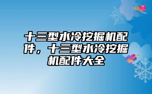 十三型水冷挖掘機(jī)配件，十三型水冷挖掘機(jī)配件大全