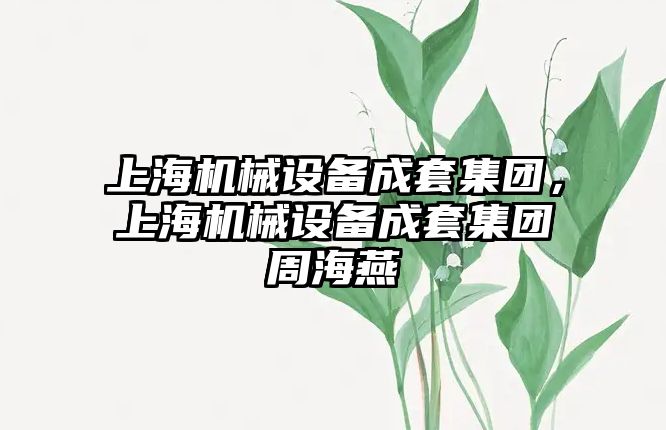 上海機械設備成套集團，上海機械設備成套集團周海燕