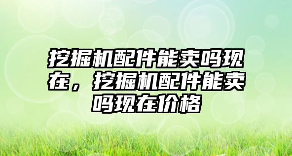 挖掘機配件能賣嗎現(xiàn)在，挖掘機配件能賣嗎現(xiàn)在價格