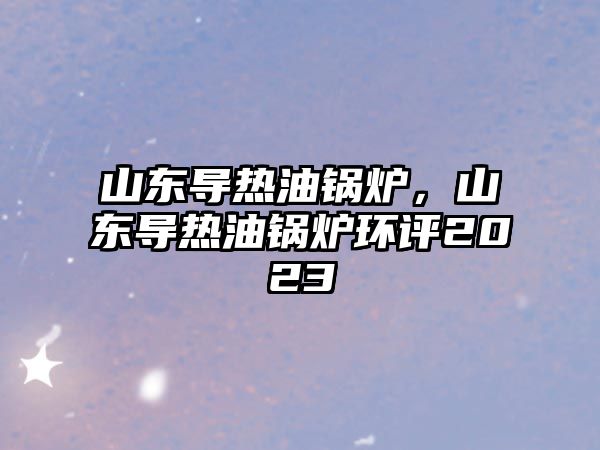 山東導(dǎo)熱油鍋爐，山東導(dǎo)熱油鍋爐環(huán)評2023