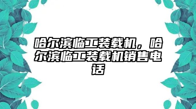 哈爾濱臨工裝載機，哈爾濱臨工裝載機銷售電話