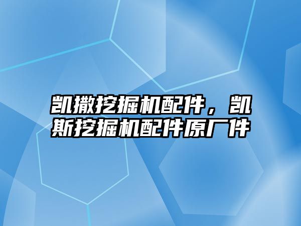 凱撒挖掘機配件，凱斯挖掘機配件原廠件