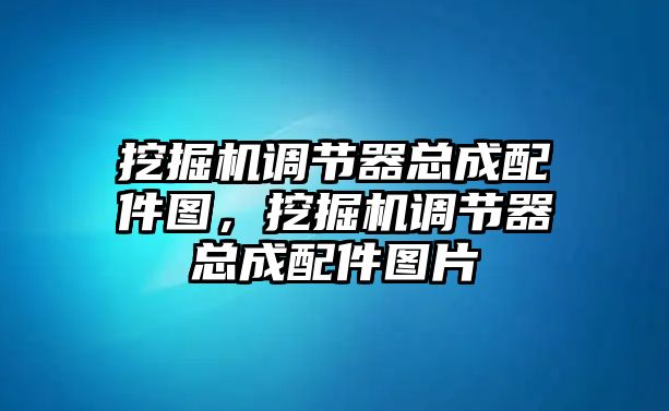 挖掘機調(diào)節(jié)器總成配件圖，挖掘機調(diào)節(jié)器總成配件圖片