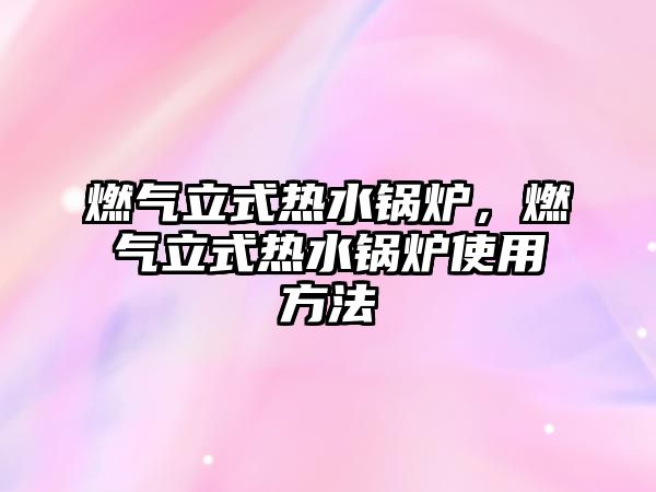 燃?xì)饬⑹綗崴仩t，燃?xì)饬⑹綗崴仩t使用方法