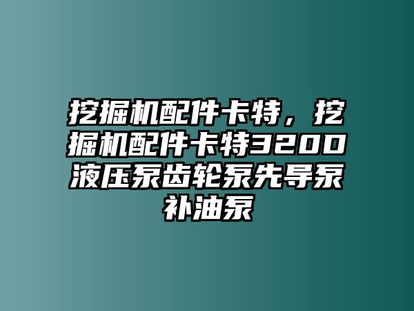 挖掘機(jī)配件卡特，挖掘機(jī)配件卡特320D液壓泵齒輪泵先導(dǎo)泵補(bǔ)油泵