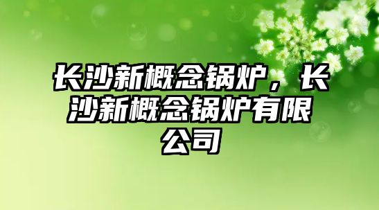 長(zhǎng)沙新概念鍋爐，長(zhǎng)沙新概念鍋爐有限公司