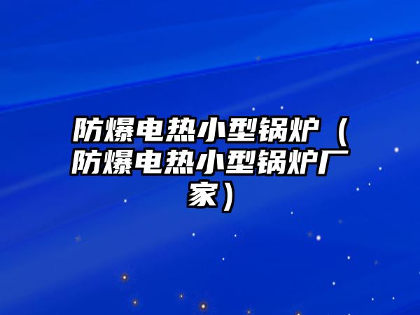 防爆電熱小型鍋爐（防爆電熱小型鍋爐廠家）