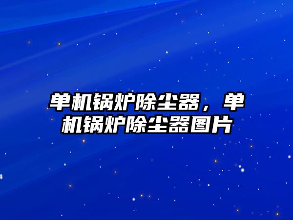 單機鍋爐除塵器，單機鍋爐除塵器圖片