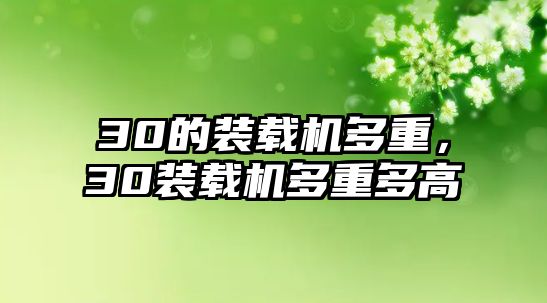 30的裝載機多重，30裝載機多重多高