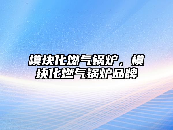 模塊化燃?xì)忮仩t，模塊化燃?xì)忮仩t品牌