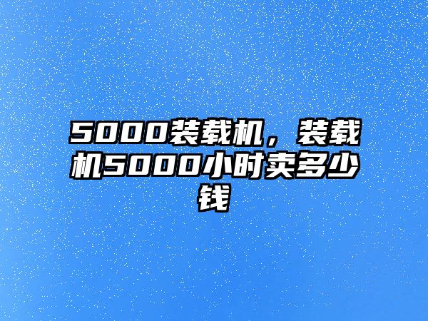 5000裝載機(jī)，裝載機(jī)5000小時賣多少錢