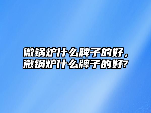 微鍋爐什么牌子的好，微鍋爐什么牌子的好?