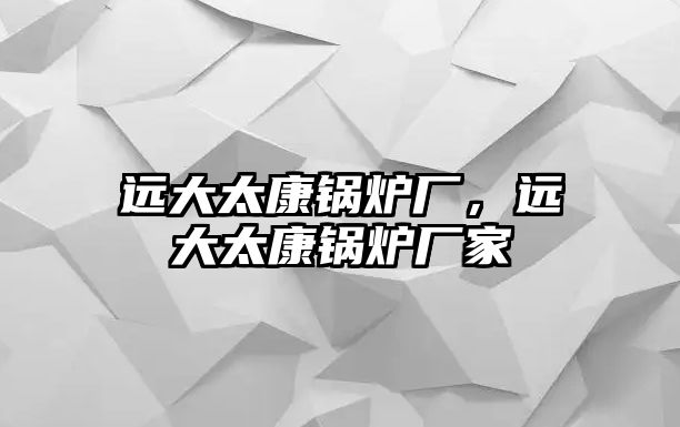 遠大太康鍋爐廠，遠大太康鍋爐廠家