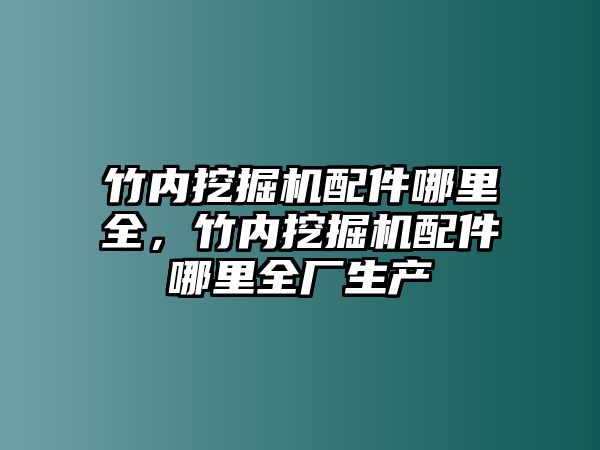 竹內(nèi)挖掘機(jī)配件哪里全，竹內(nèi)挖掘機(jī)配件哪里全廠生產(chǎn)