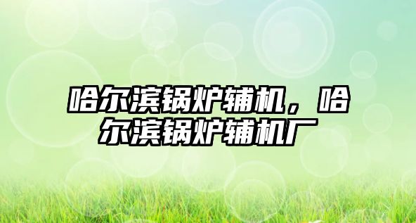 哈爾濱鍋爐輔機，哈爾濱鍋爐輔機廠