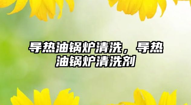 導(dǎo)熱油鍋爐清洗，導(dǎo)熱油鍋爐清洗劑