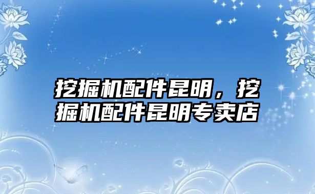 挖掘機配件昆明，挖掘機配件昆明專賣店