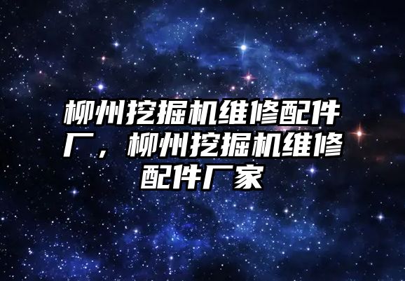 柳州挖掘機維修配件廠，柳州挖掘機維修配件廠家