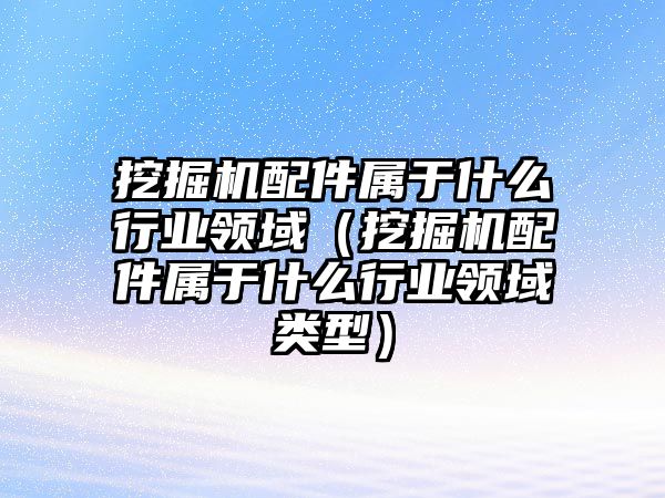 挖掘機(jī)配件屬于什么行業(yè)領(lǐng)域（挖掘機(jī)配件屬于什么行業(yè)領(lǐng)域類(lèi)型）